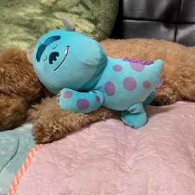 夜21:30になると、、、の画像