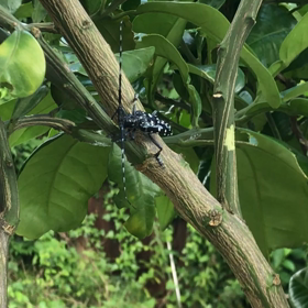 びっくりしたぁの画像