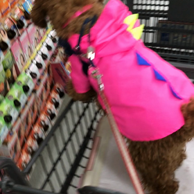 雨の日は、、、の画像