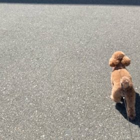 断捨離2日目の画像