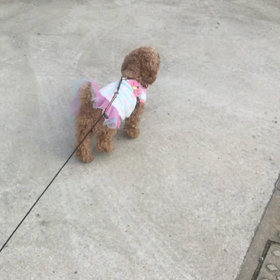 2019年最後の、、、の画像