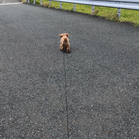初めてみた❣️の画像
