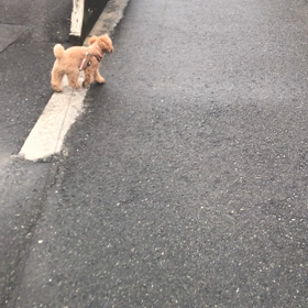 そっちは、見ないよーの画像