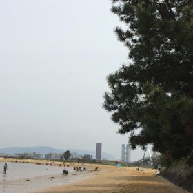 2016 雁ノ巣の画像