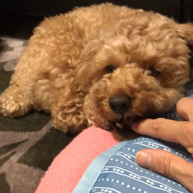 凹んだぁの画像