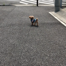 つきいちの、、、の画像