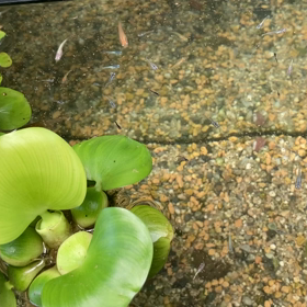 どんどんどんどんの画像