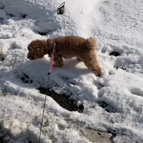 今日も、、、の画像