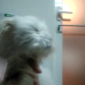 お風呂の画像