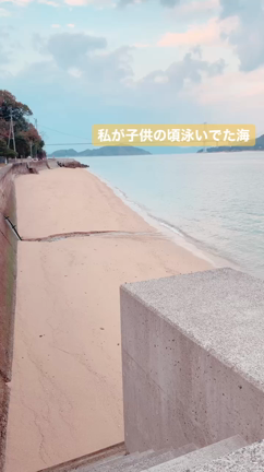旅ブログの記事動画