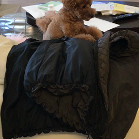 悪事を働くみかんさん。の画像