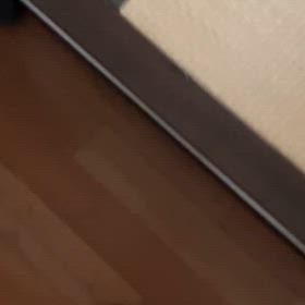 笑えるの画像