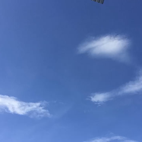 2019/08/07の画像