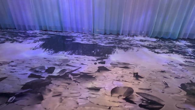 モネ展をみて気づいたことの記事動画