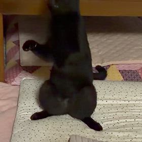 おもちゃの画像