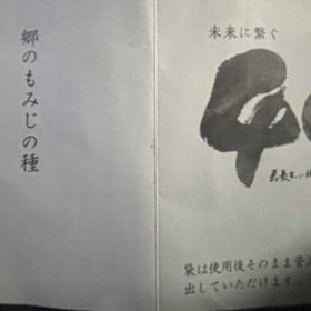 実生のもみじ苗紅葉も終わり葉が散りました｡の画像