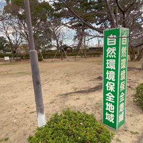 散歩道の画像