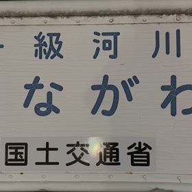 昨日蛍を見に行きました｡の画像