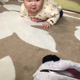 ガンガン進んでくるよ！の画像