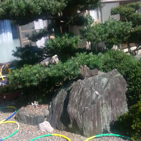 引っ越し…の画像