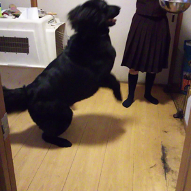 これって…？？？の画像