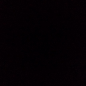 ドナ・サマー♪トリビュートの画像
