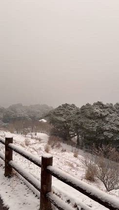 鹿児島もよく降ってますの記事動画
