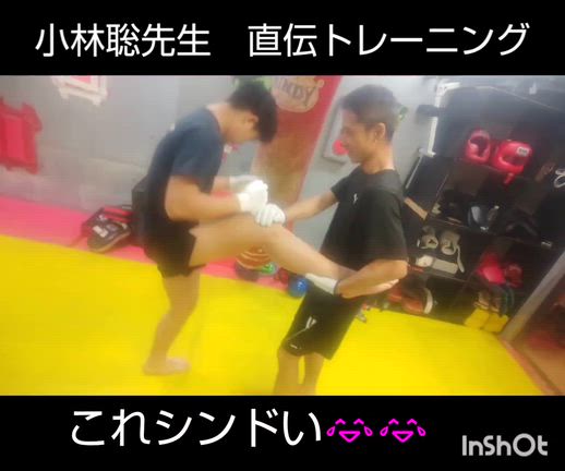 ⑥月入会案内の記事動画