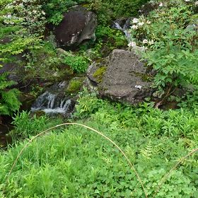 癒しの森　赤城自然園　続きの続きの画像