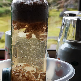 見事な発酵活動の画像