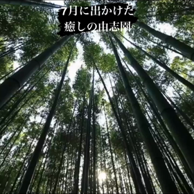 2023/08/15の画像