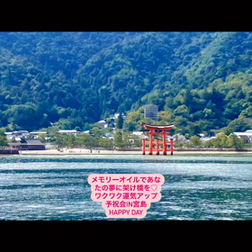 2023/09/11の画像