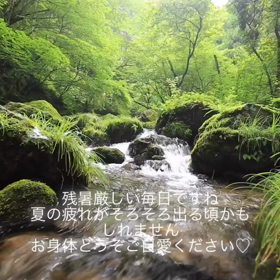 2023/08/21の画像