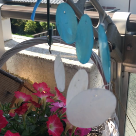 夏の音の画像