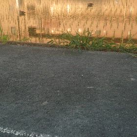 長閑の画像