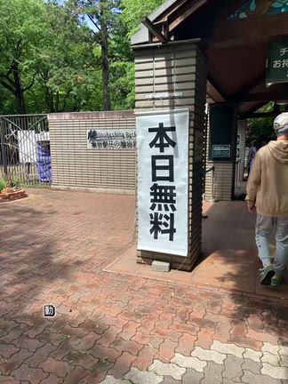 おはようございますの記事動画