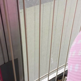 外の鳥を見て鳴くレナの画像