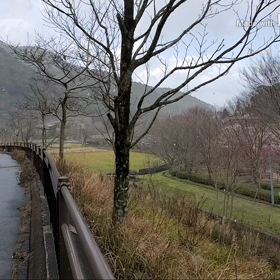 上から眺める梅林公園の画像