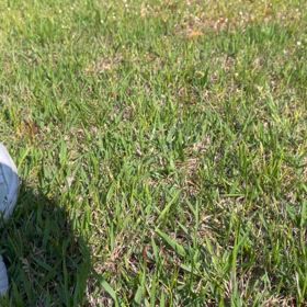 掃除で心もスッキリしましたの画像