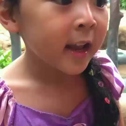 知らなかった...ディズニーで大人の仮装はNGの記事動画