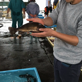 豊浜夕市の様子！こんなメバル食べてみたい！の画像