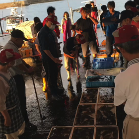豊浜朝市の様子！5日ぶりだが魚は豊富！の画像