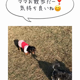 クンカブル８【動画】の画像