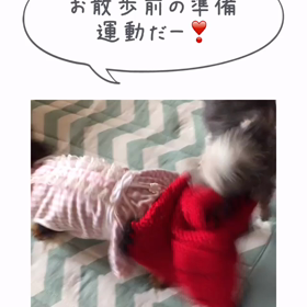 クンカブル2（≧∇≦）【動画】の画像