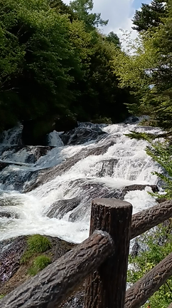 奥日光へ⛰⛰ﾔﾏ(ง ˙˘˙ )วﾔﾏ⛰⛰の記事動画