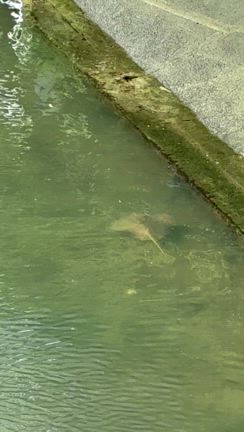 備忘録　美味しいたのし珍しい博多の旅の記事動画