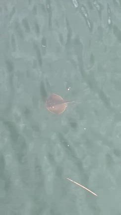 備忘録　美味しいたのし珍しい博多の旅の記事動画