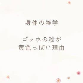 2024/04/09の画像