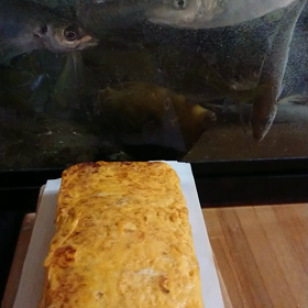 活魚の画像