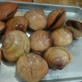 活とりがいですの画像